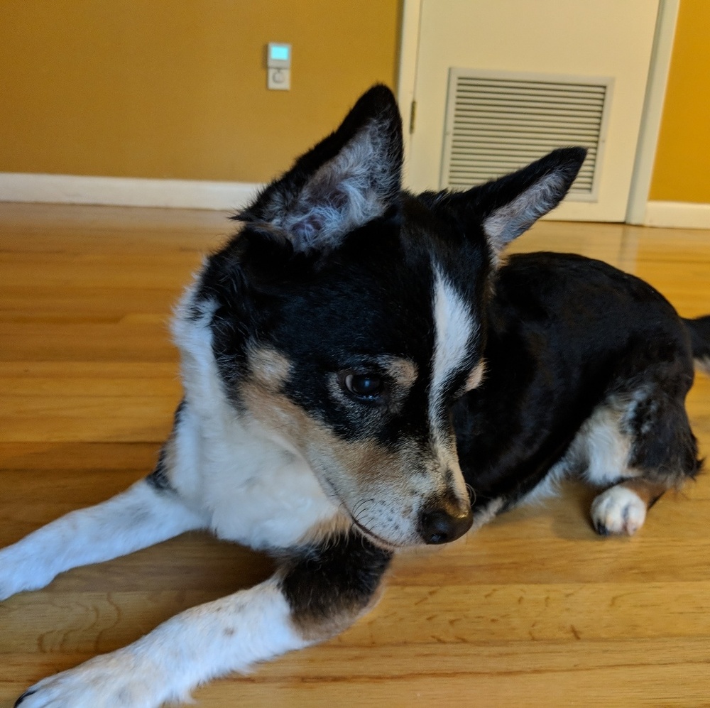 Meet your Posher, Cheri